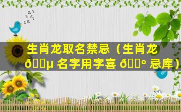 生肖龙取名禁忌（生肖龙 🌵 名字用字喜 🌺 忌库）